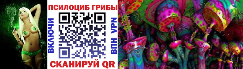 Галлюциногенные грибы Psilocybe Котельники