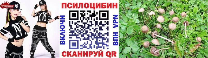 Галлюциногенные грибы GOLDEN TEACHER Котельники